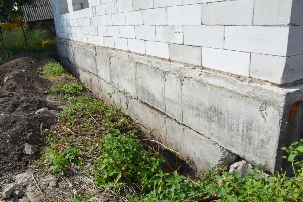 Structural Reinforcement in Laurel